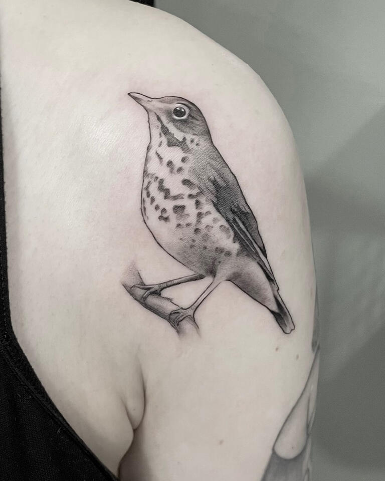 Tatuaje realismo en línea fina: pájaro.